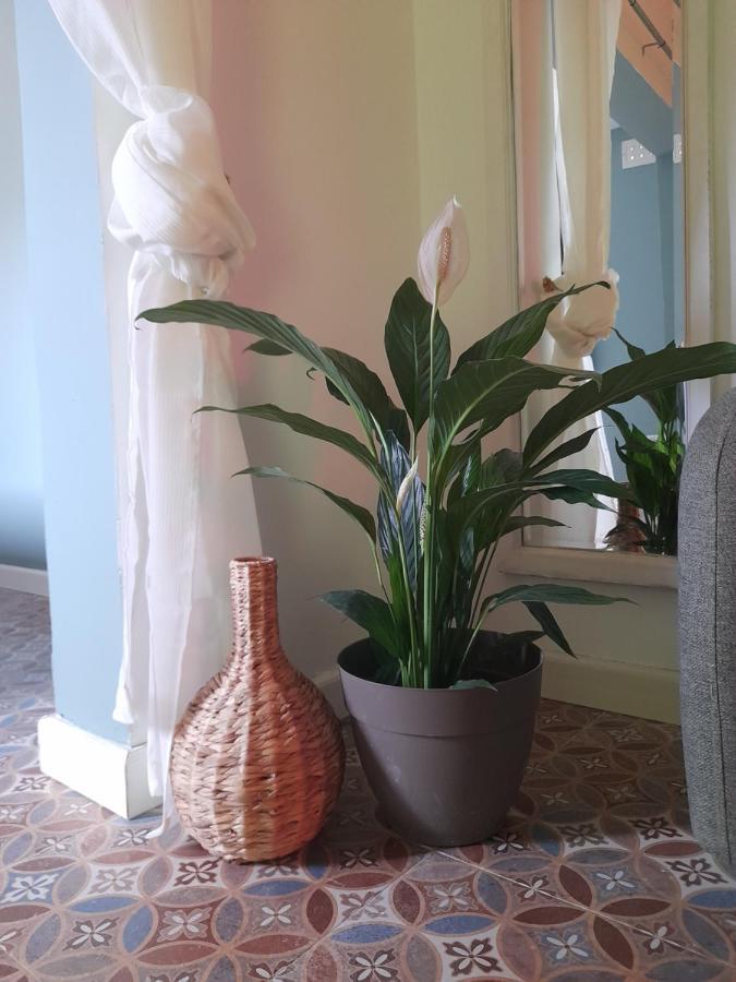 Boho Rooms 슬리에마 외부 사진